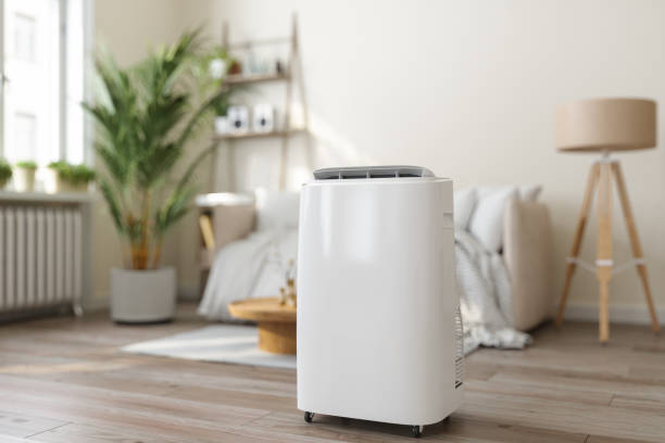 Best Air Filters and Purifiers in Brazoria, TX